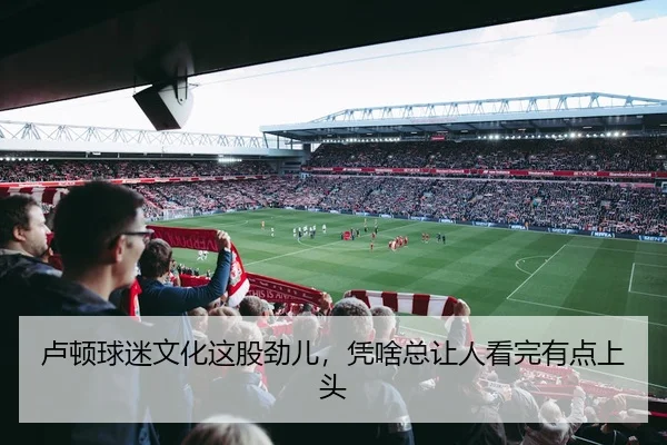 卢顿球迷文化这股劲儿，凭啥总让人看完有点上头
